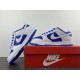 NIKE Dunk Low ESS  DJ9955-101 