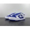 NIKE Dunk Low ESS  DJ9955-101 