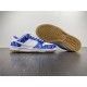 Nike SB Dunk Low Retro SP “ CT5053-041