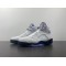 AIR JORDAN 5 “CONCORD” DD1587-141