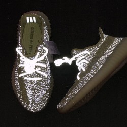 adidas Yeezy Boost 350 V2 Antlia (Reflective) FV3255