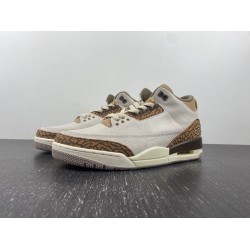 AIR JORDAN 3 “PALOMINO” CT8532-102