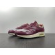 NIKE AIR MAX 1 SP CONCEPTS MELLOW DN1803-300