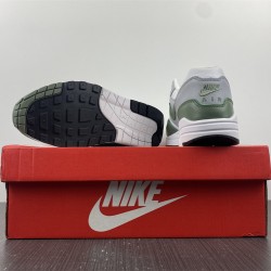 NIKE AIR MAX 1 SPIRAL SAGE DB5074-100