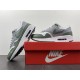 NIKE AIR MAX 1 SPIRAL SAGE DB5074-100