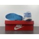 NIKE AIR MAX 1 PREMIUM BLUEPRINT DR0448-100