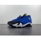 AIR JORDAN 14 LANEY 487471-407