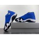 AIR JORDAN 14 LANEY 487471-407