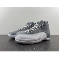  AIR JORDAN 12 STEALTH CT8013-015