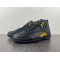 AIR JORDAN 12 “BLACK TAXI” CT8013-071