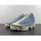 AIR JORDAN 13 SOLEFLY DX5763-100